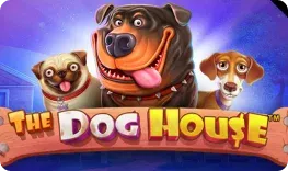 Royalsea – The Dog House